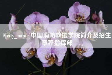 宜宾中国消防救援学院简介及招生章程指挥部