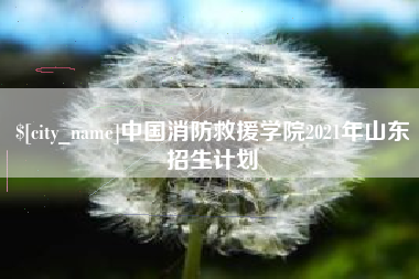 宜宾中国消防救援学院2021年山东招生计划