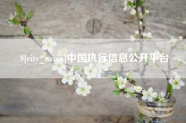 宜宾中国执行信息公开平台