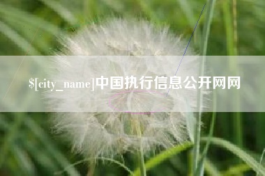 宜宾中国执行信息公开网网