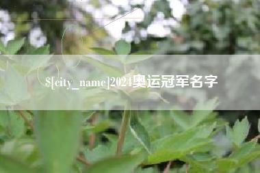宜宾2024奥运冠军名字