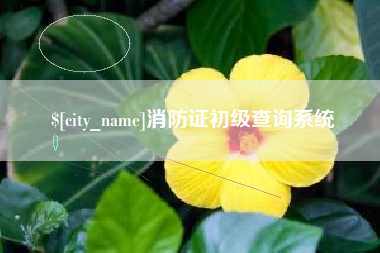 宜宾消防证初级查询系统