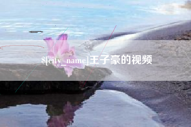 宜宾王子豪的视频