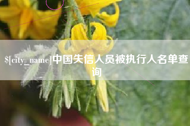 宜宾中国失信人员被执行人名单查询