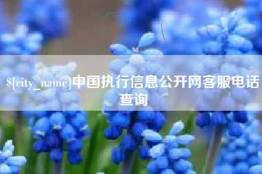 宜宾中国执行信息公开网客服电话查询