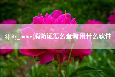 宜宾消防证怎么查询,用什么软件