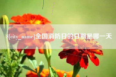宜宾全国消防日的日期是哪一天
