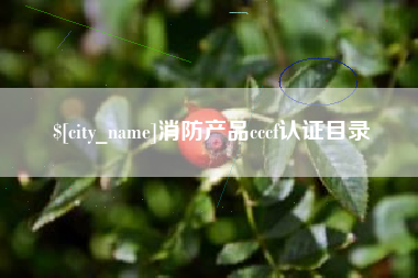 宜宾消防产品cccf认证目录