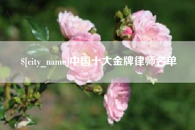 宜宾中国十大金牌律师名单