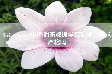 宜宾中国消防救援学院对视力要求严格吗
