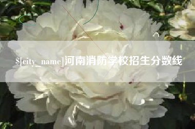宜宾河南消防学校招生分数线