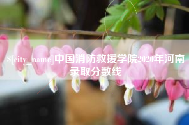 宜宾中国消防救援学院2020年河南录取分数线