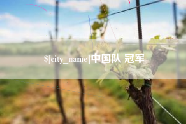 宜宾中国队 冠军