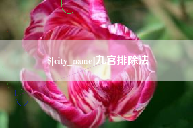宜宾九宫排除法