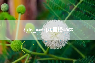 宜宾九宫格42633