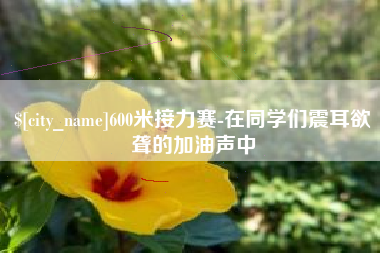 宜宾600米接力赛-在同学们震耳欲聋的加油声中