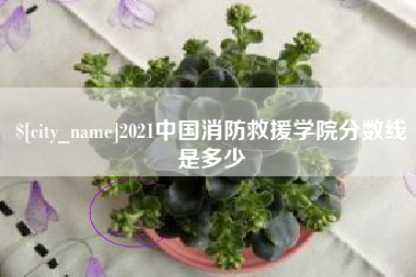 宜宾2021中国消防救援学院分数线是多少