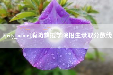 宜宾消防救援学院招生录取分数线