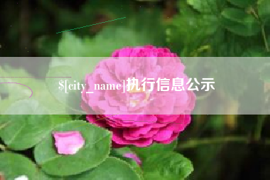 宜宾执行信息公示