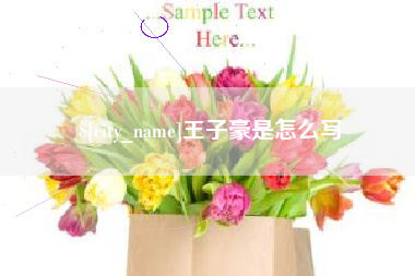 宜宾王子豪是怎么写