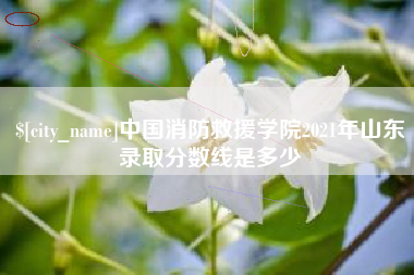 宜宾中国消防救援学院2021年山东录取分数线是多少