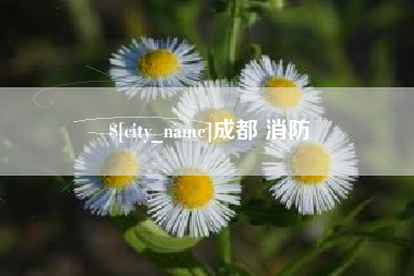 宜宾成都 消防