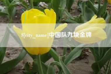 宜宾中国队九块金牌