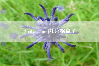 宜宾九宫格盘子
