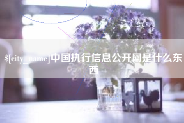 宜宾中国执行信息公开网是什么东西