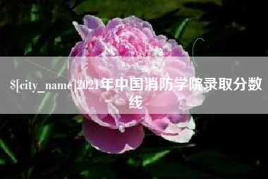 宜宾2021年中国消防学院录取分数线