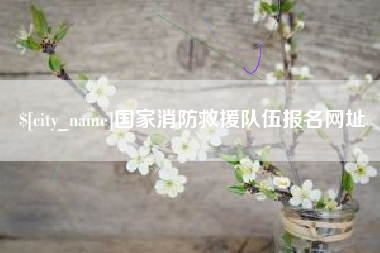 宜宾国家消防救援队伍报名网址