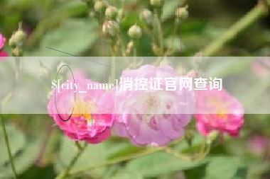 宜宾消控证官网查询