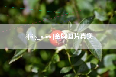 宜宾金牌图片真实