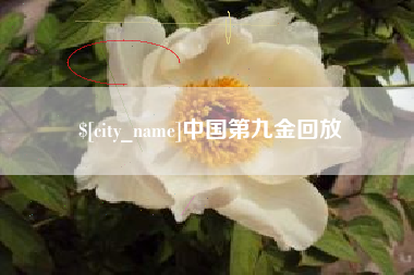 宜宾中国第九金回放