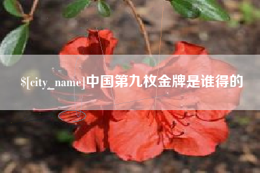 宜宾中国第九枚金牌是谁得的