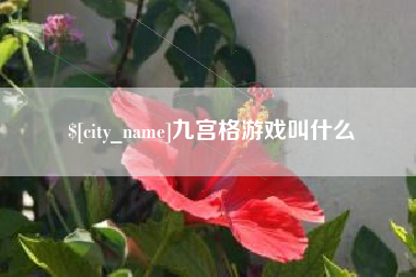 宜宾九宫格游戏叫什么