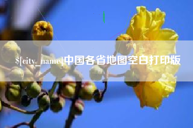 宜宾中国各省地图空白打印版