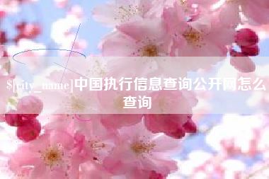 宜宾中国执行信息查询公开网怎么查询