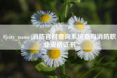 宜宾消防官网查询系统查询消防职业资格证书