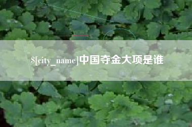 宜宾中国夺金大项是谁
