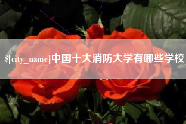 宜宾中国十大消防大学有哪些学校