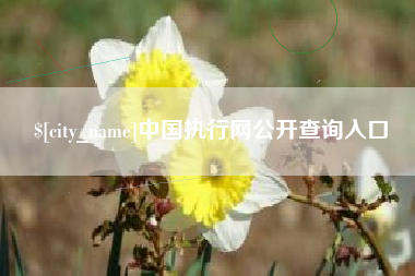 宜宾中国执行网公开查询入口