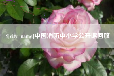 宜宾中国消防中小学公开课回放