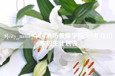 宜宾中国消防救援学院2020年在山东招生计划表