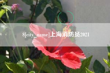 宜宾上海消防员2021