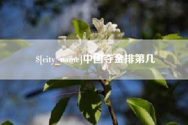 宜宾中国夺金排第几