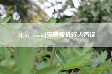 宜宾失信被执行人杳询