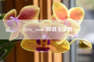 宜宾邱县王子磊
