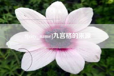 宜宾九宫格的来源