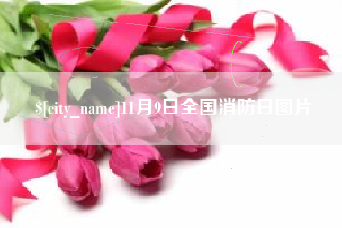 宜宾11月9日全国消防日图片